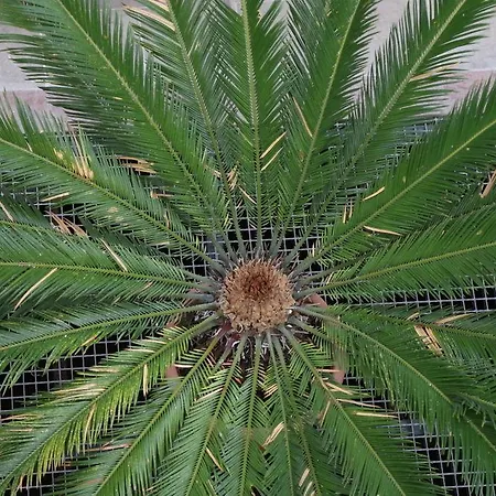 Residenza Accademia, Mantegnahotels Pensionat